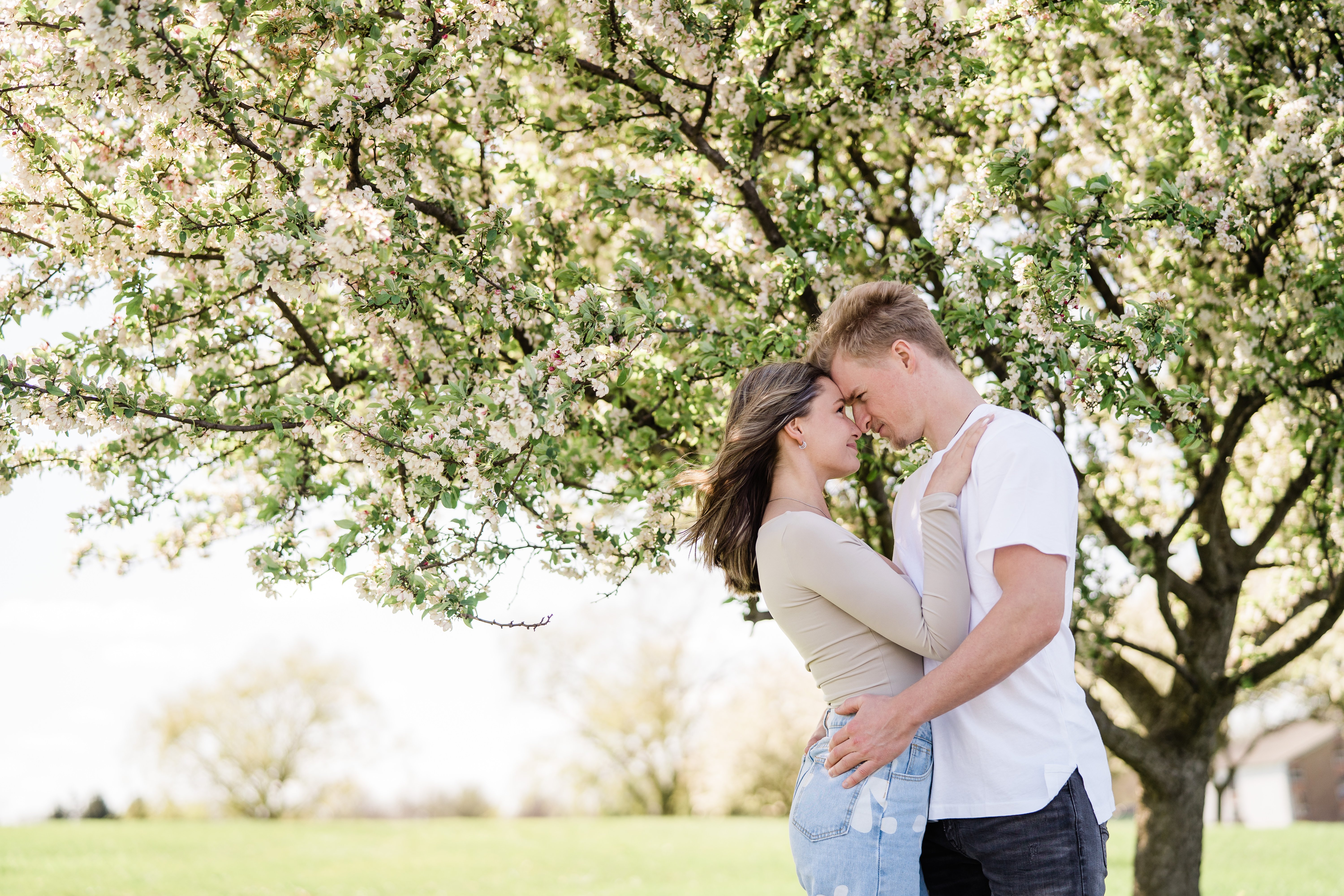 engagement photos with man and woman embracing under a blossoming tree in Fort Wayne