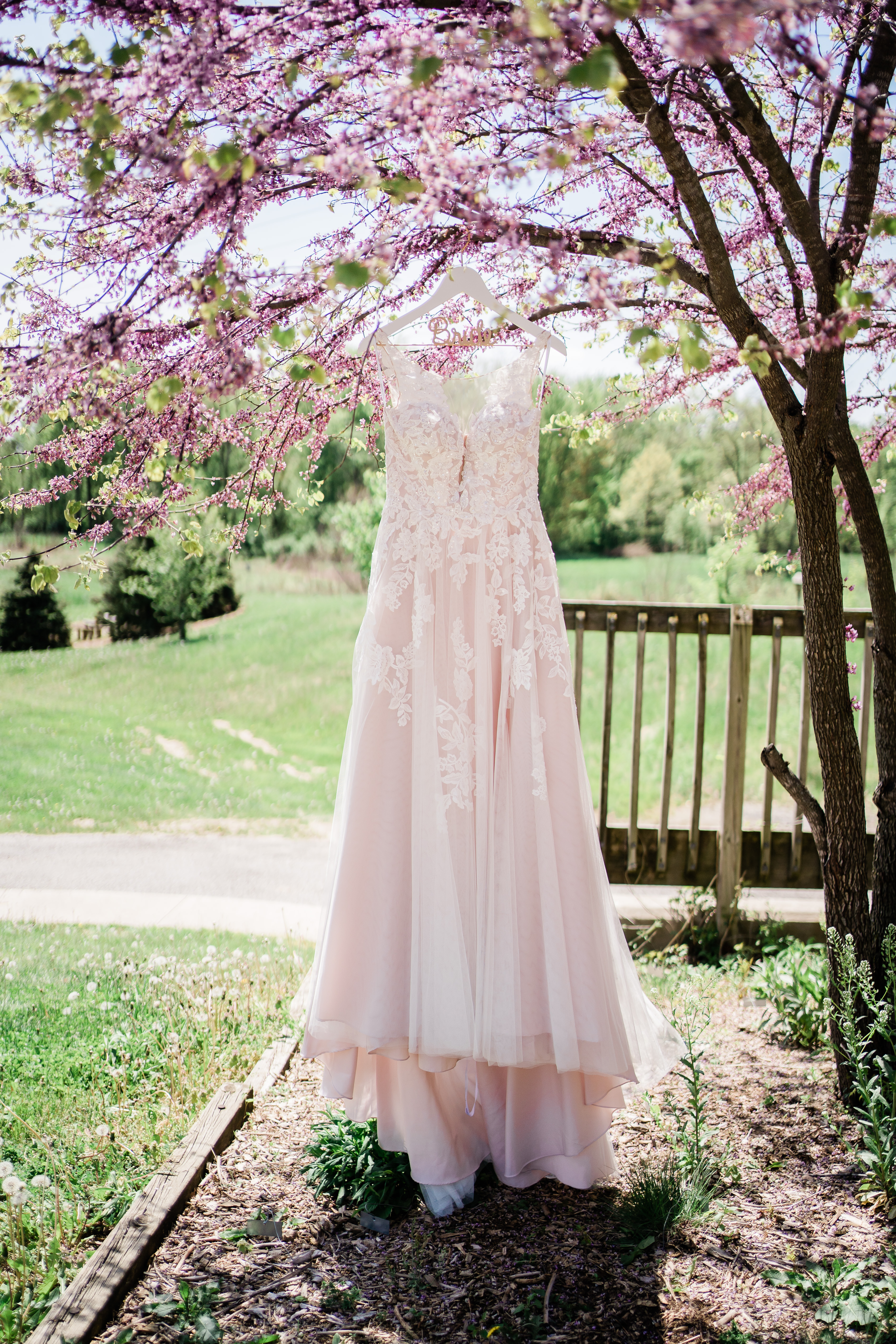 wedding dress hanging from a blossom tree for an outdoor spring wedding in Fort Wayne